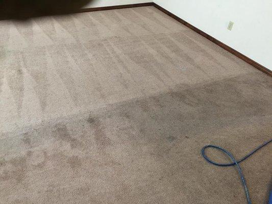 Business carpet cleaning