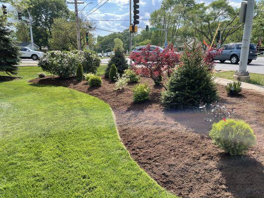 Beautiful Landscape with premium bark wood mulch to compliment it.