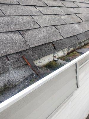 Look at these nasty gutters.  Get a NEW roof done by us get new gutter screens and you not have to worry about clogged gutters