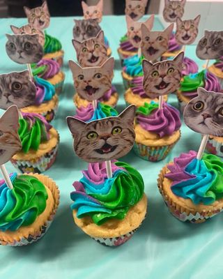 Cat Meme Cupcakes