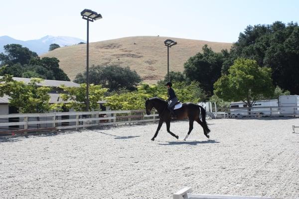 Sunny Outdoor Arena with GGT specialized jumping footing.