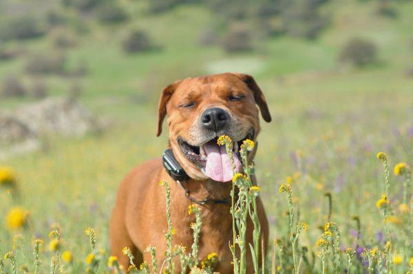 Cronan Ranch Trails Park