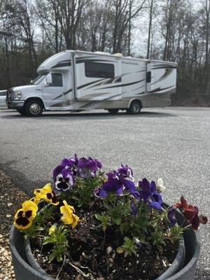 One of many rv options. Plus the flowers are pretty.