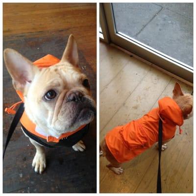 Someone got a new raincoat!