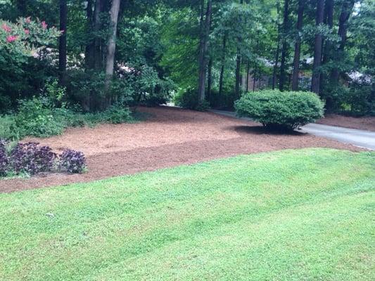 Mulch and Pine straw installation