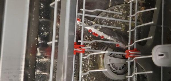 Dishwasher broken,  terrible smell from food. To be replaced day after arrival.  5th day not fixed yet