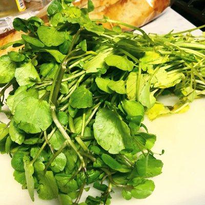 Beautiful watercress