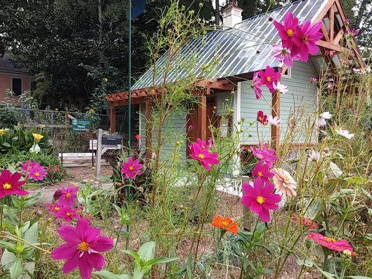 Scott Park Garden's shed