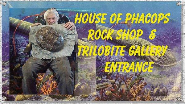 Thomas Johnson owner Since 1978 has supplied fossils and mineral specimens worldwide. The shop features a Trilobite Gallery