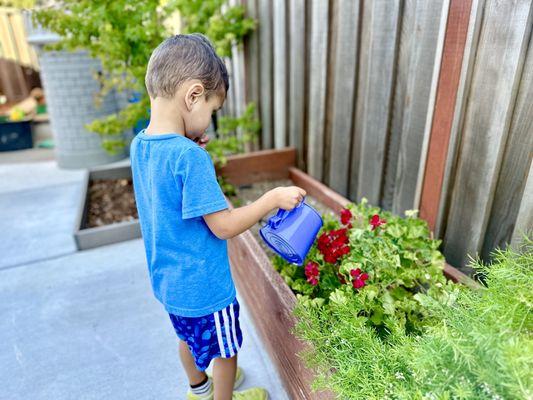 Terese's Montessori For Toddlers