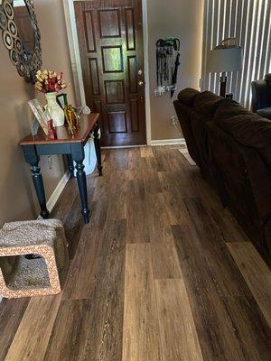 Flooring in Living room