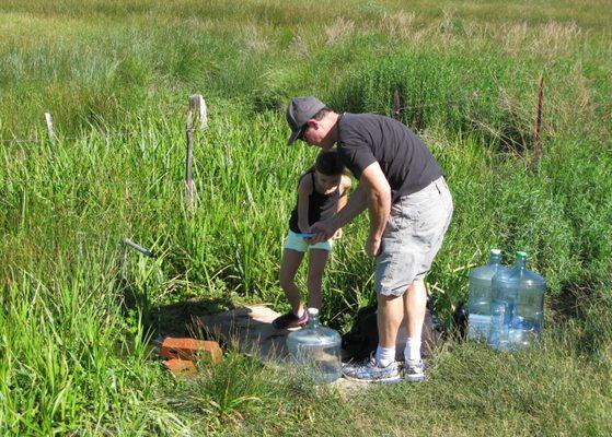 Gathering our spring water. The best!