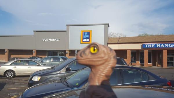 Bob the Raptor Says "Mammals come here to get Grocery Prey."