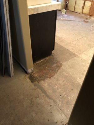 Water damage to the subfloor in the master bathroom