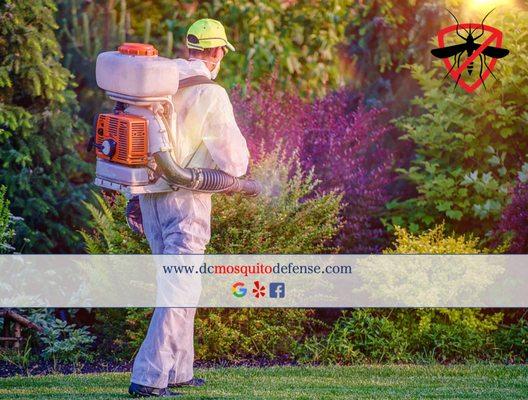 Serving Maryland DC and Virginia www.dcmosquitodefense.com.