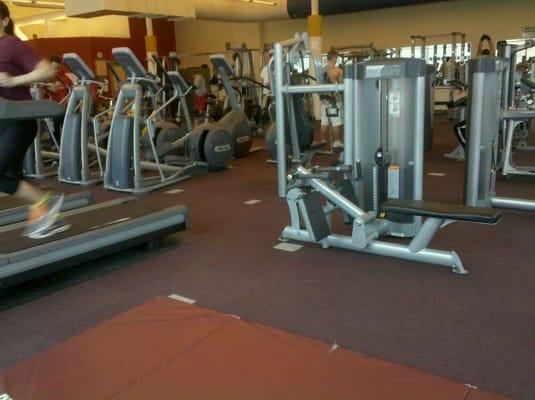 The gym