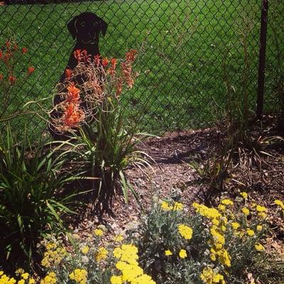 Cute dog decorations along the fence