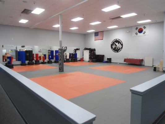 Taekwondo and Jujitsu Mat