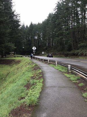 Pathway to the Bridge of the Gods