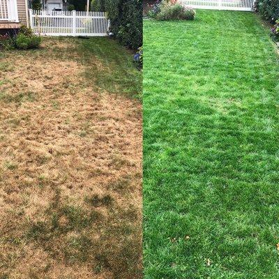 Before and after weekly lawn services