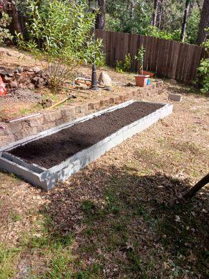 Planter I just made out of cinder blocks.