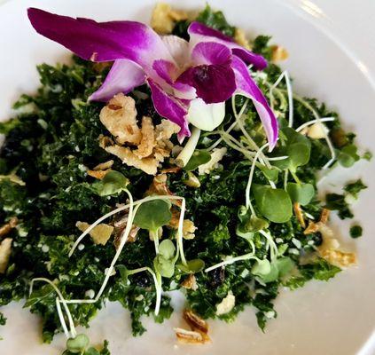 Chopped Manchego-Kale Salad candied meyer lemon | currants l pepitas | crispy fried onion | meyer lemon oil