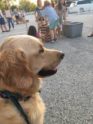 Dogs, kids, and beer.. oh my!!