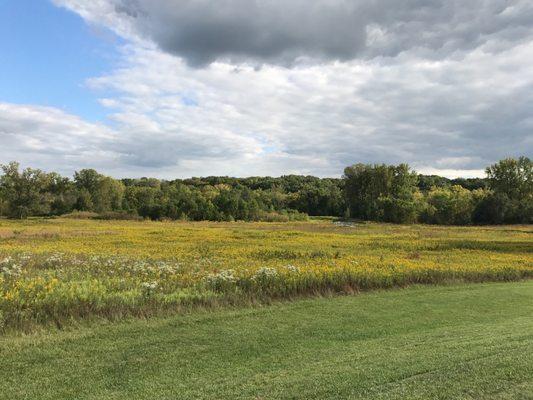 Part of the prairie.