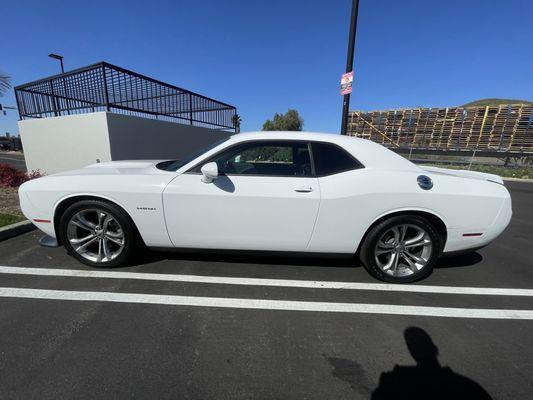 Rosa helped me find affordable insurance for my 2022 challenger