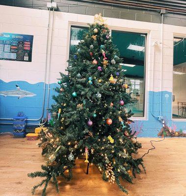 Our swim Christmas tree! ‍