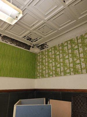 Wallpaper removal-Before