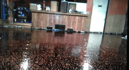 Black Epoxy Flooring coating w/ metallic Fleck