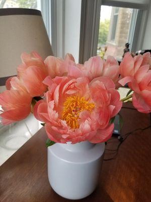 Coral charm peonies, after a few days