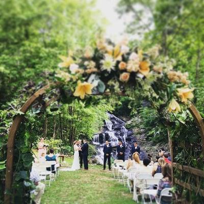 They also did an arrangement for the wooden arch, again perfect! The size, color, and quality were stunning!