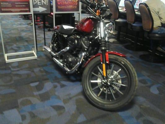 The Harley Davidson to be given away May 5th, 2012...our Hog Wild promotion...also Cinco de Mayo.