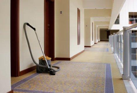 Carpet Cleaning