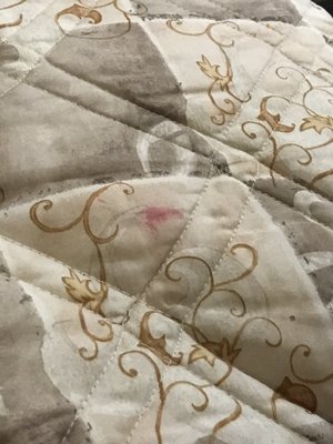 Questionable red residue on the bed sheets. One of many