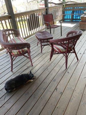 Front porch - still life with Chihuahua.