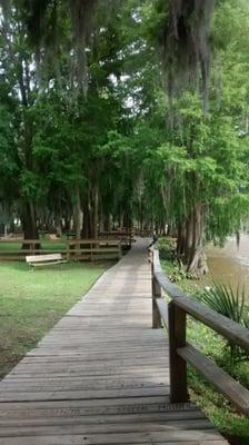 Lovely boardwalk