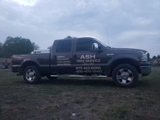 Ash Tree Service