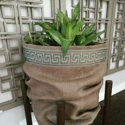 Plant bag with decorative border