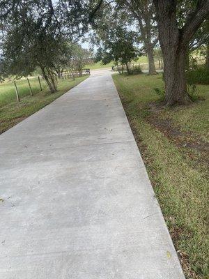 After this same stretch of driveway looks completely new