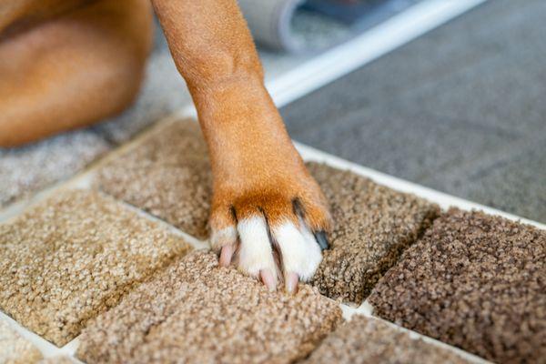 Distinctive Flooring