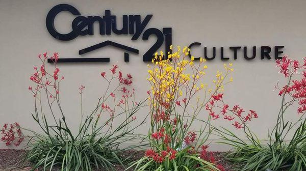 Lupita Urquiza - Century 21 Culture