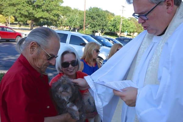 Blessing of the Animals 2015