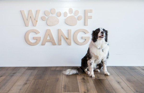 Woof Gang Bakery & Grooming