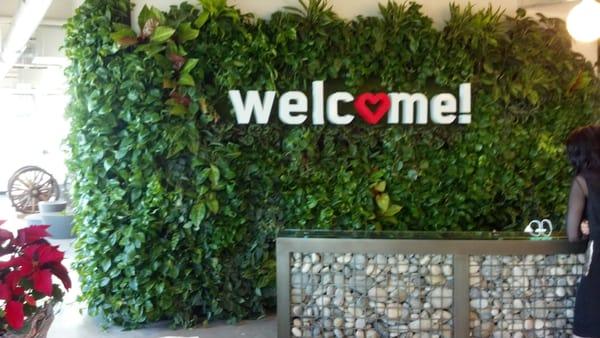 A beautiful living wall behind the reception desk!