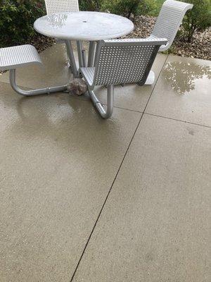 Trash around tables that your supposed to sit at and eat