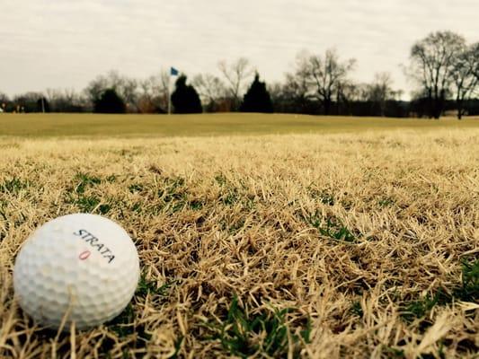 Stoneybrook Golf Course