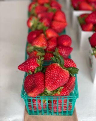 Best Strawberries in town!